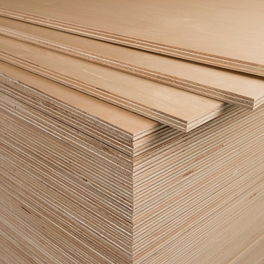 Plywood Falcata 12-23mm